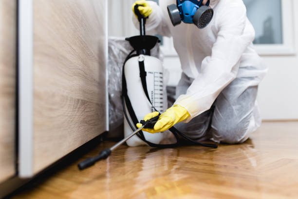 Best Best Pest Control Companies  in Bondurant, IA