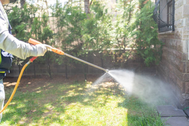 Best Mosquito Control Services  in Bondurant, IA