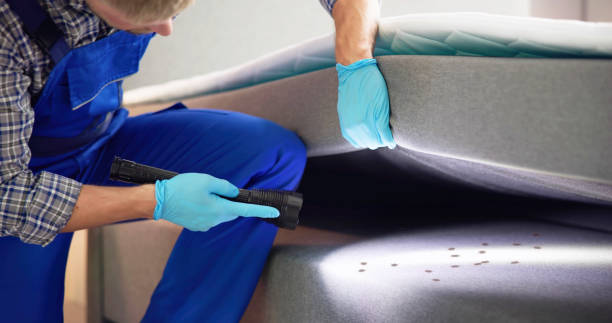 Best Pest Removal Services  in Bondurant, IA