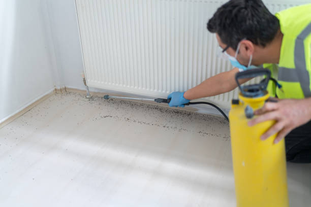 Best Residential Pest Control  in Bondurant, IA