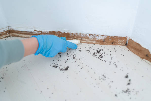 Best Wildlife Control Services  in Bondurant, IA