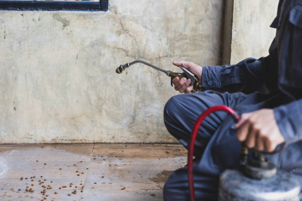 Best Ant Control Services  in Bondurant, IA